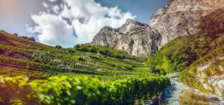 The Wine Route, from Martigny to Loèche