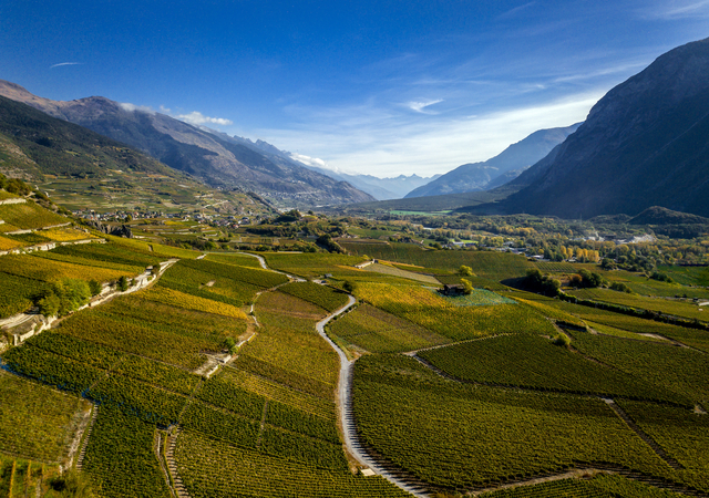 Rebwanderweg des Walliser Weinmuseums von Siders bis Salgesch